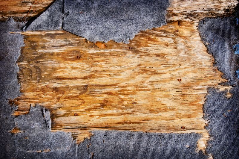 Well-maintained woodwork enhances your homes overall value