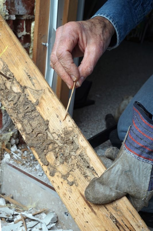 Rotted wood can weaken structural elements