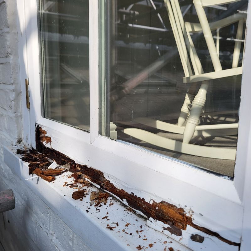 Window Rot Repair in Indianapolis, IN