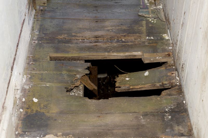 Rotted Wood Repair