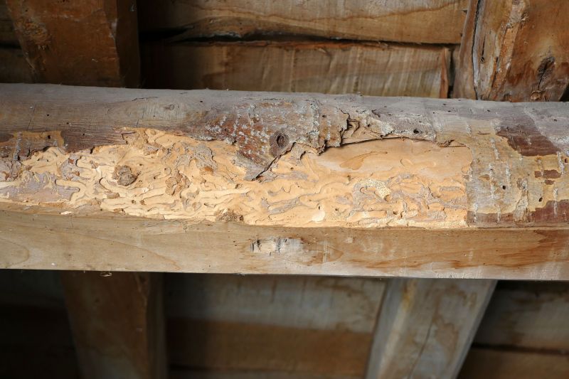 Decayed Wood Replacement in Wilmington, NC