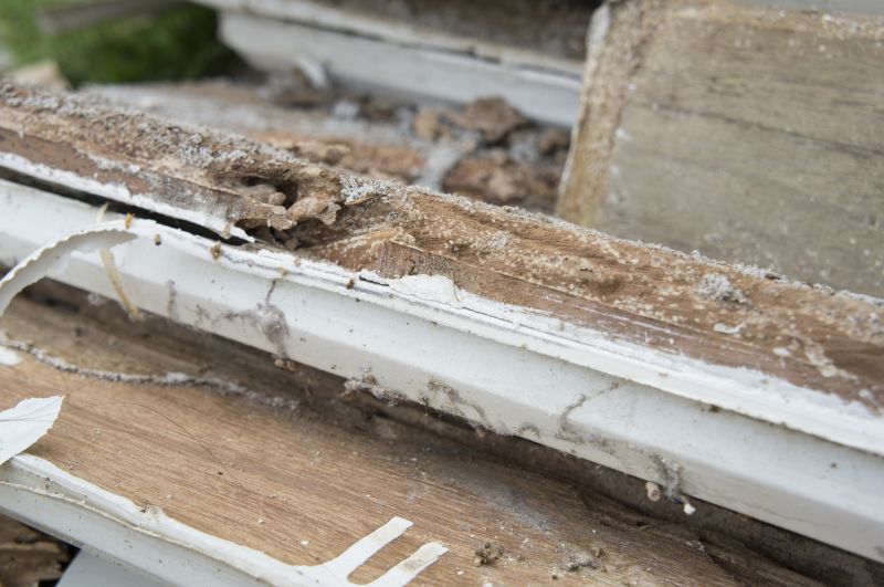 Dry Rot Repair in Conroe, TX