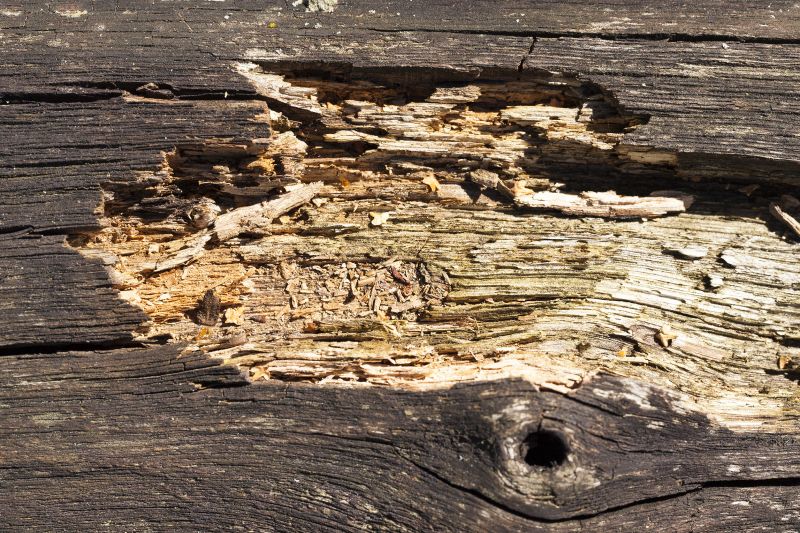 Products For Rotted Wood Repairs in use