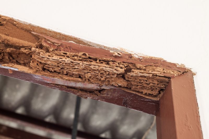 Rot Repair Service in Alpharetta, GA