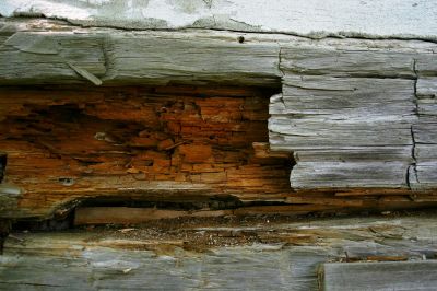 Rotted Wood Damage