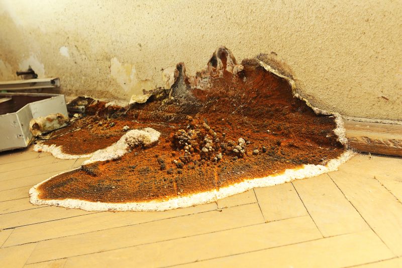 Rotten Wood Repair in Denver, CO