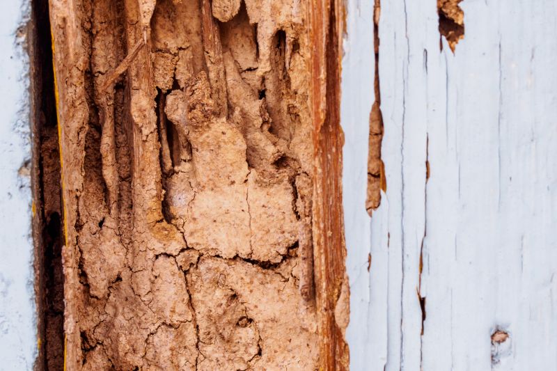 Rotten Wood Repair in Alpharetta, GA