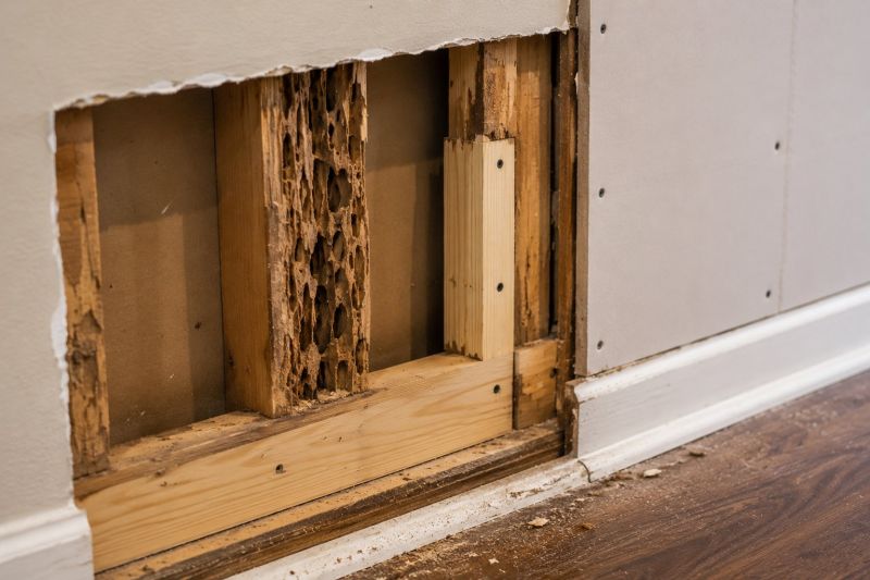 Termite Damage Restoration in Alpharetta, GA