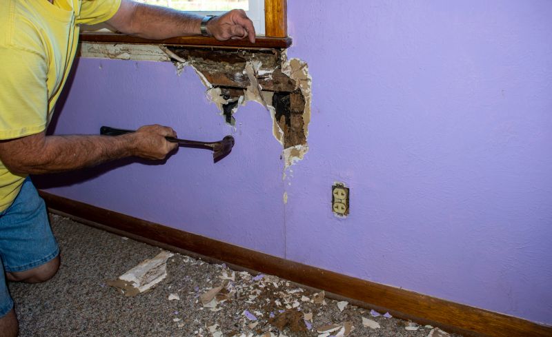 Termite Damage Restoration in Littleton, CO