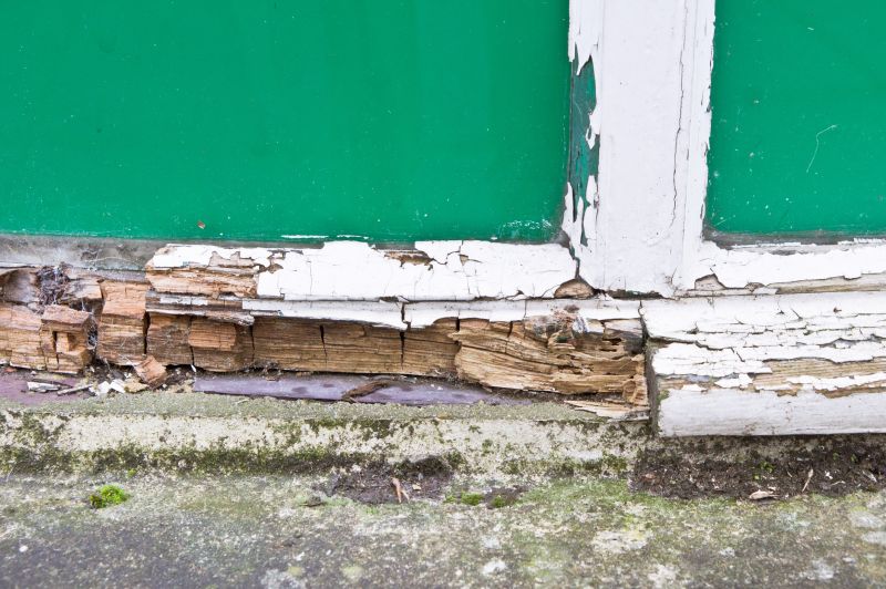 Window Rot Repair in Indianapolis, IN