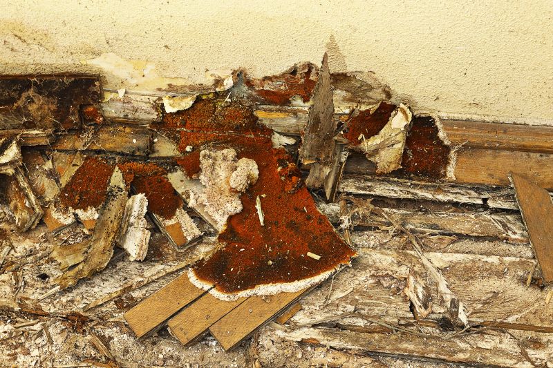 Wood Decay Repair in Littleton, CO