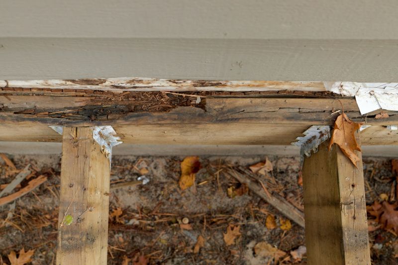 Wood Rot Removal in Alpharetta, GA
