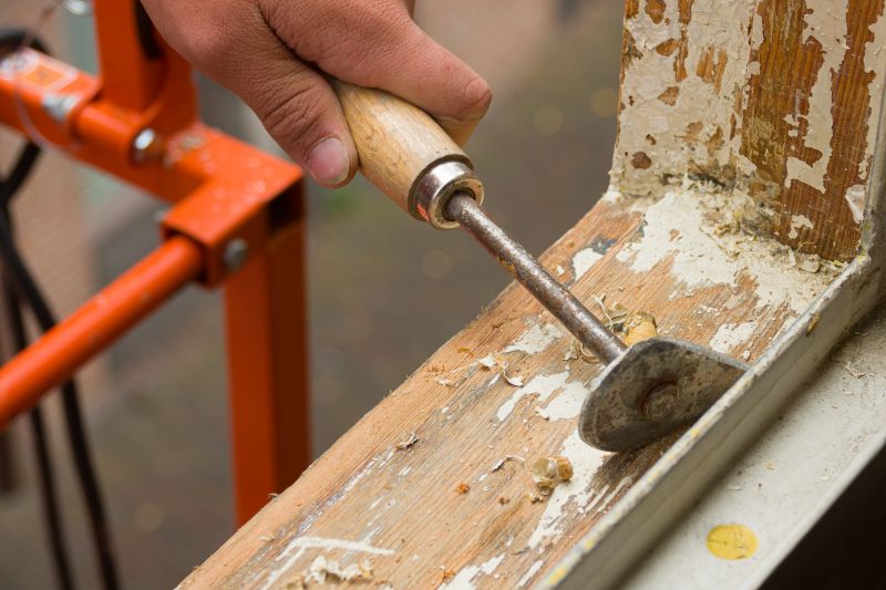 Wood Rot Removal in Arvada, CO